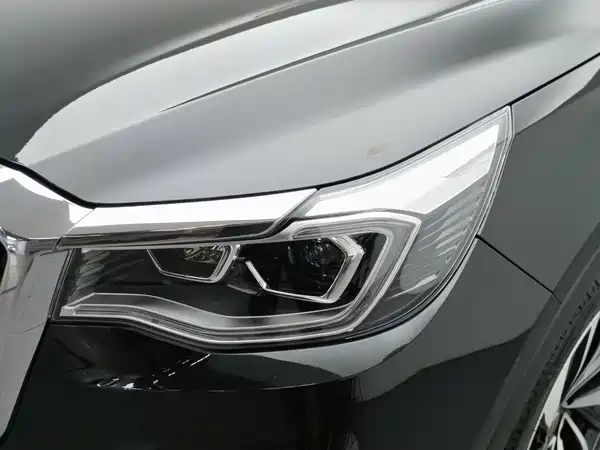 Hongqi HS7 2021