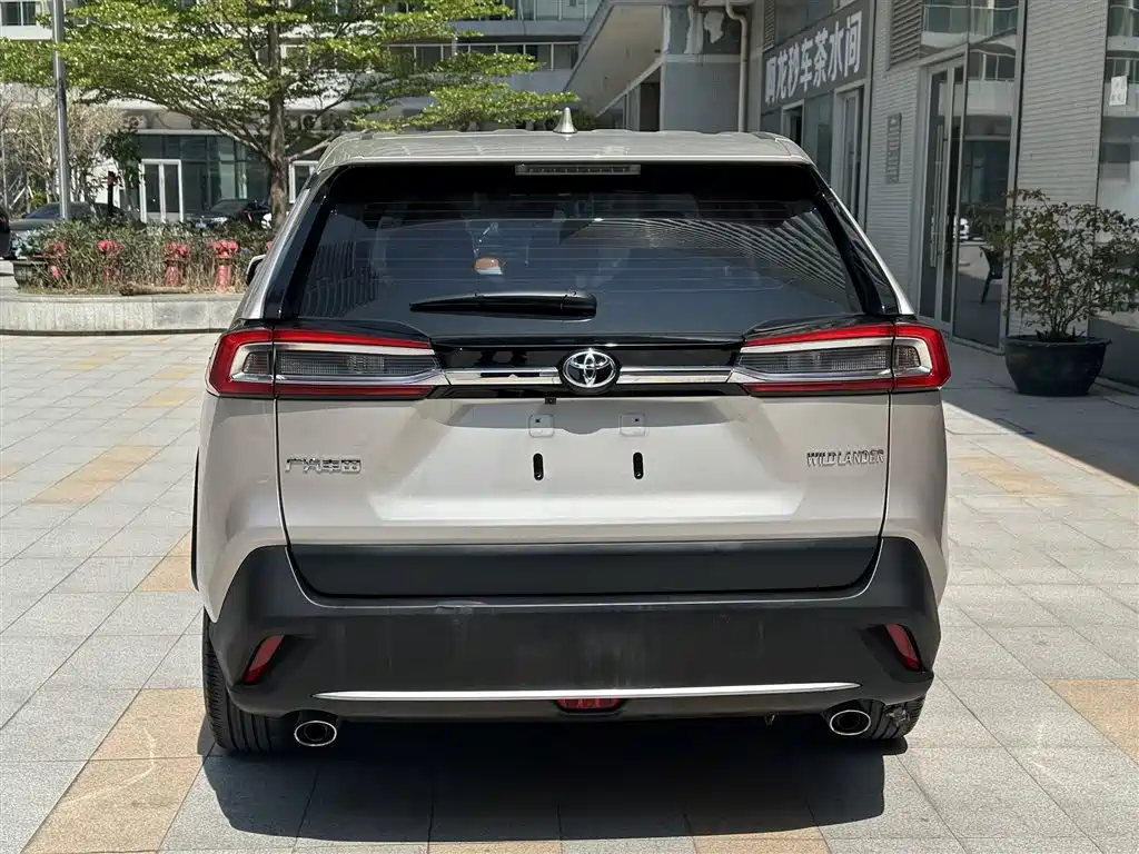 Toyota Wildlander 2020 — фото 8