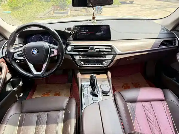 BMW 5 Series New Energy 2019