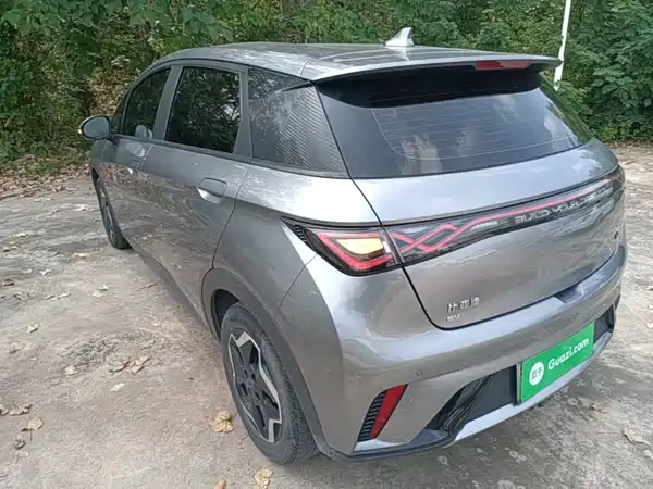 BYD Dolphin 2022