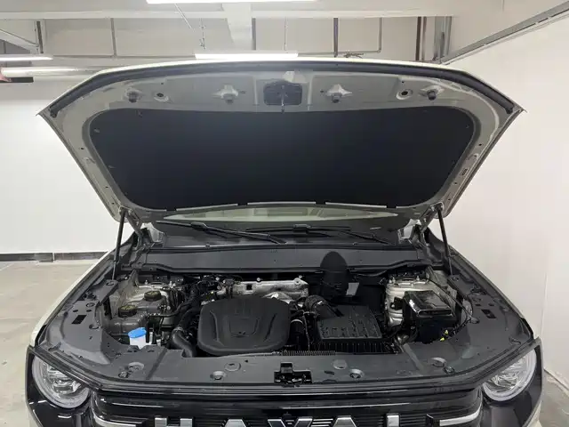 Haval Dargo PLUS EV 2025 — фото 8