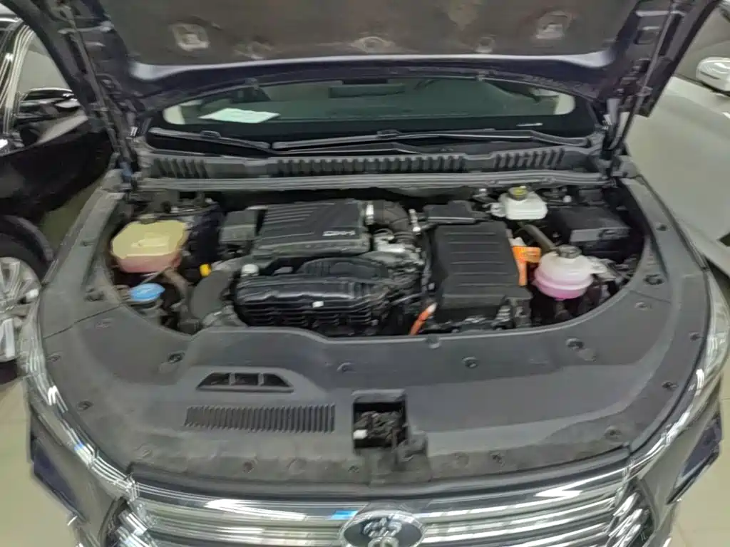 BYD MAX New Energy 2023 — фото 20