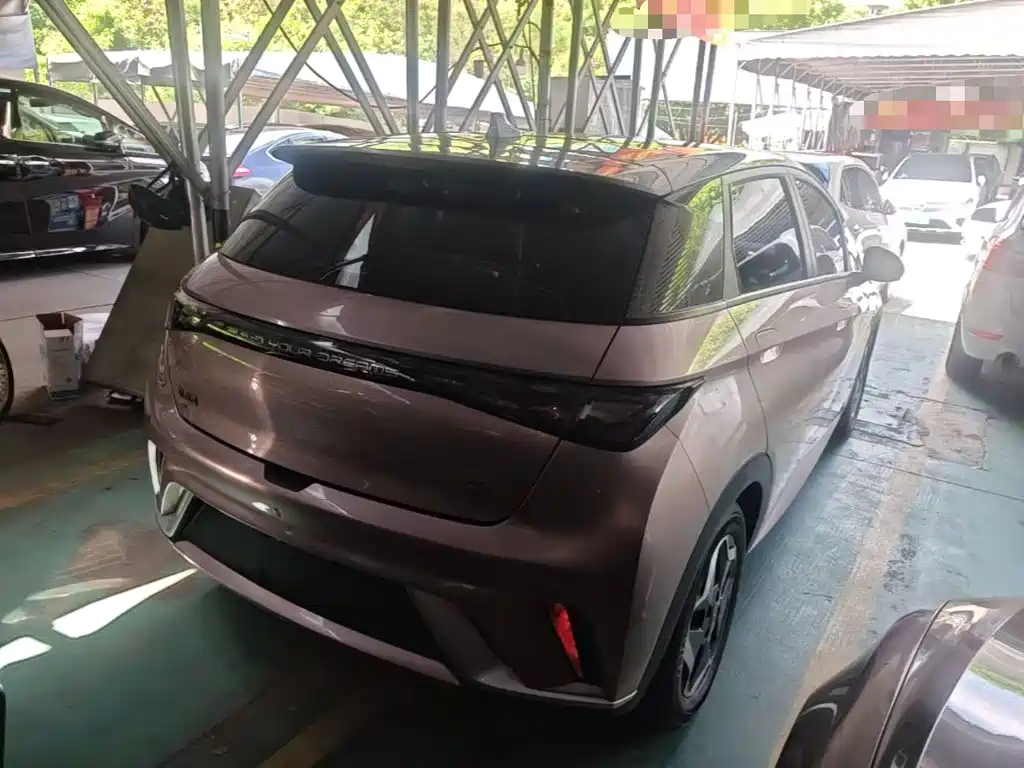 BYD Dolphin 2022
