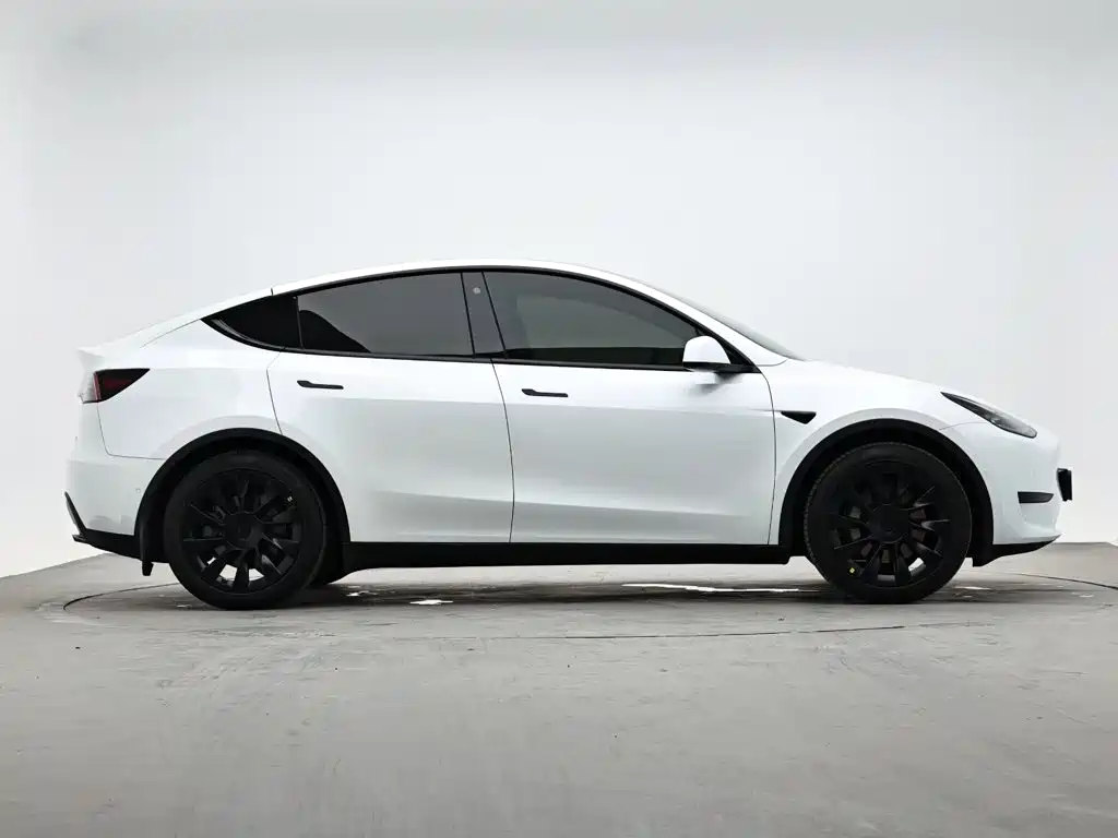 Tesla Model Y 2023 — фото 6