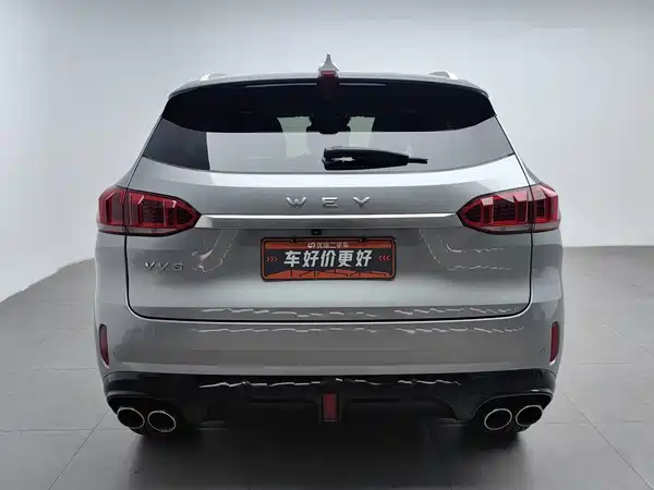Wey VV6 2021