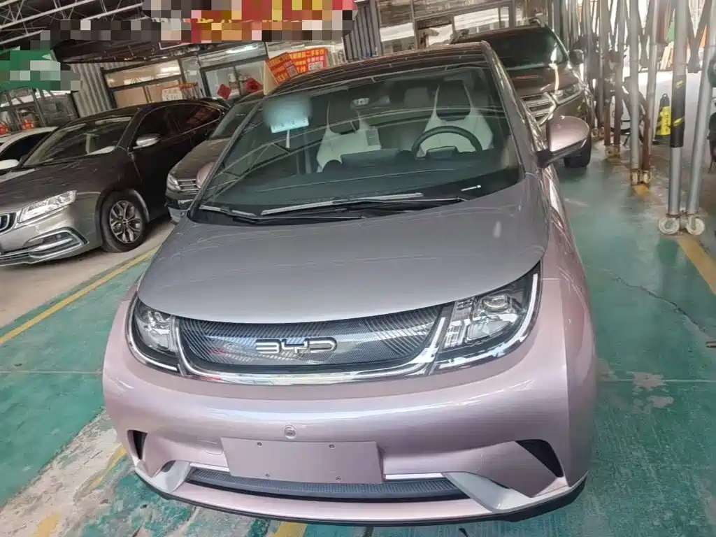 BYD Dolphin 2022