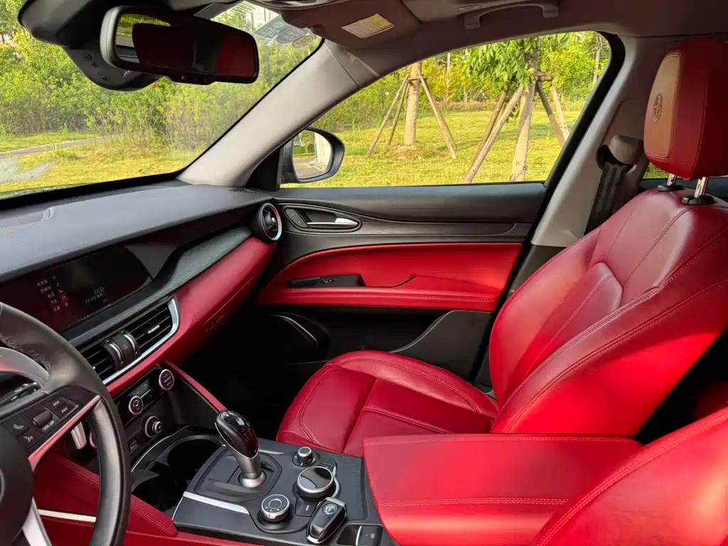 Alfa Romeo Stelvio 2019 — фото 11
