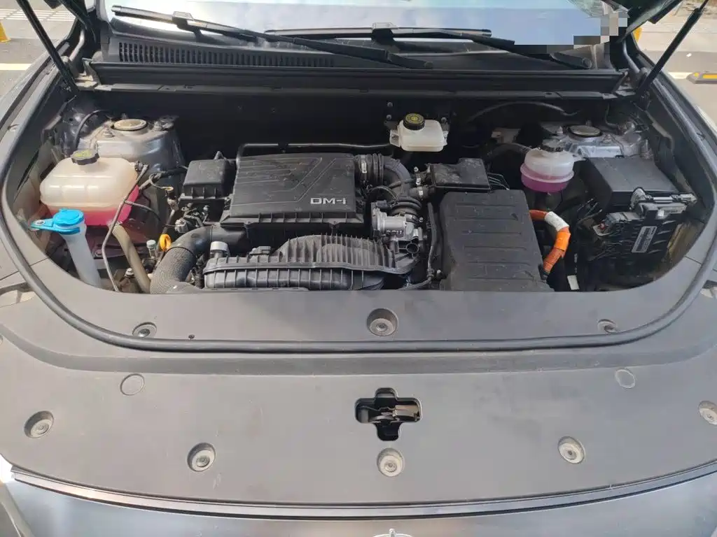 BYD Pro New Energy 2024 — фото 11