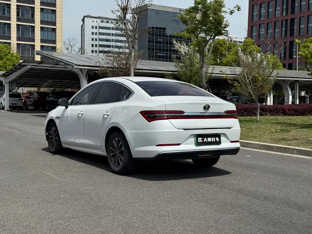 BYD Qin Pro NEV 2020 — фото 6