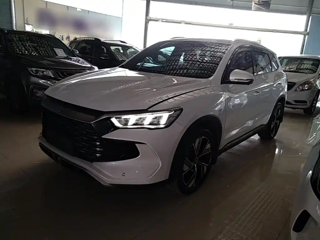BYD Pro New Energy 2023 — фото 2