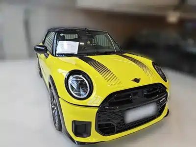 MINI MINI 2025