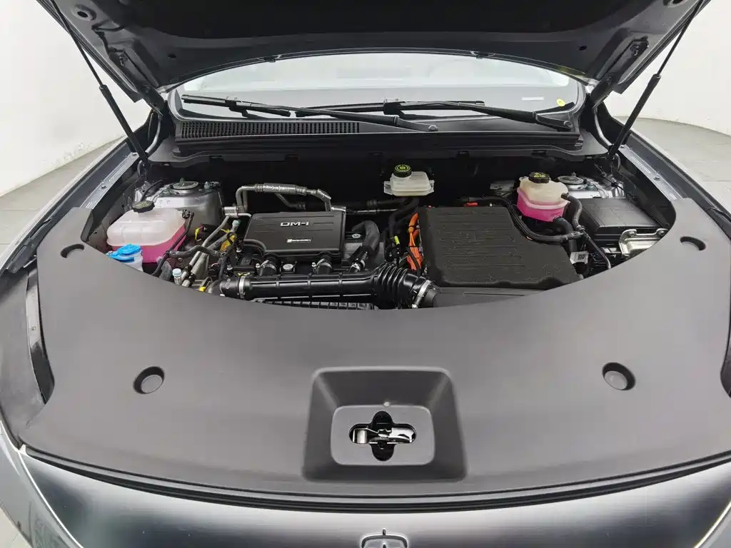 BYD Song Pro New Energy 2025 — фото 6