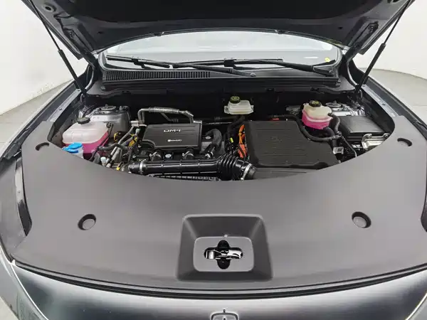 BYD Song Pro New Energy 2025