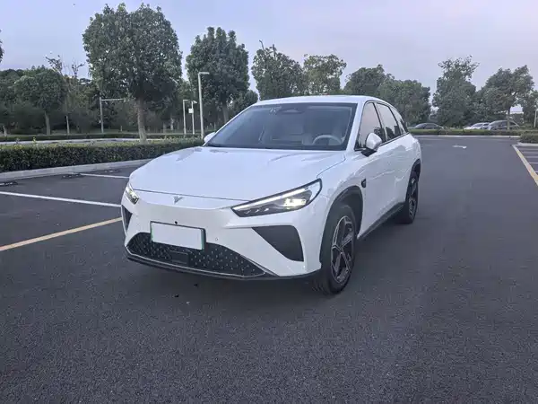 Neta L 2024