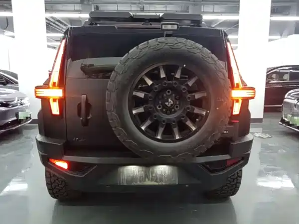 Mengshi 917 2023