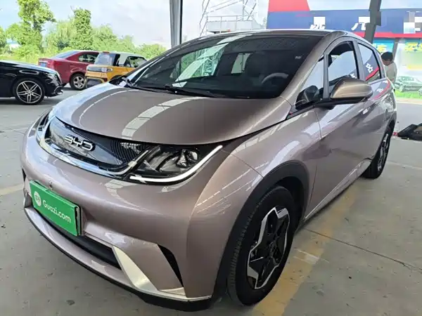 BYD Dolphin 2022