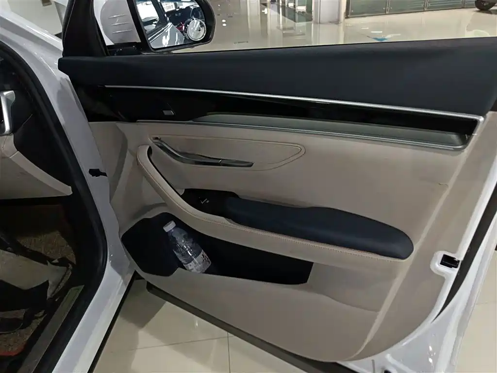BYD PLUS New Energy 2021 — фото 19