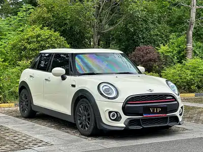 MINI MINI 2019