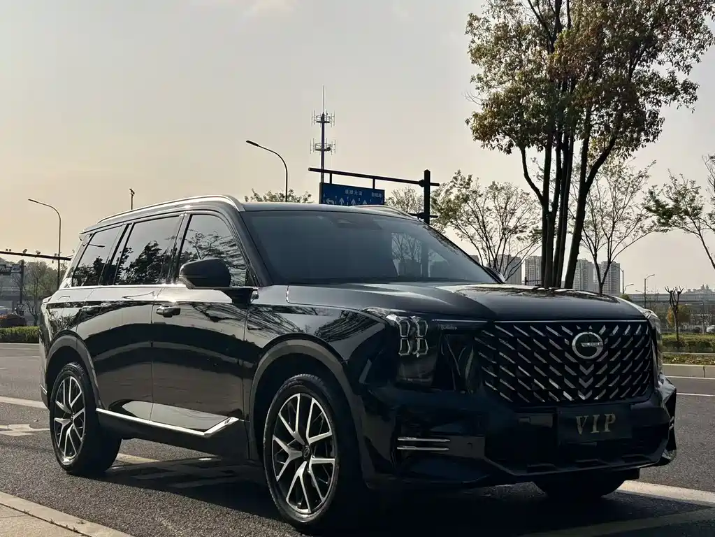 GAC Motor Trumpchi GS8 2024 — фото 19