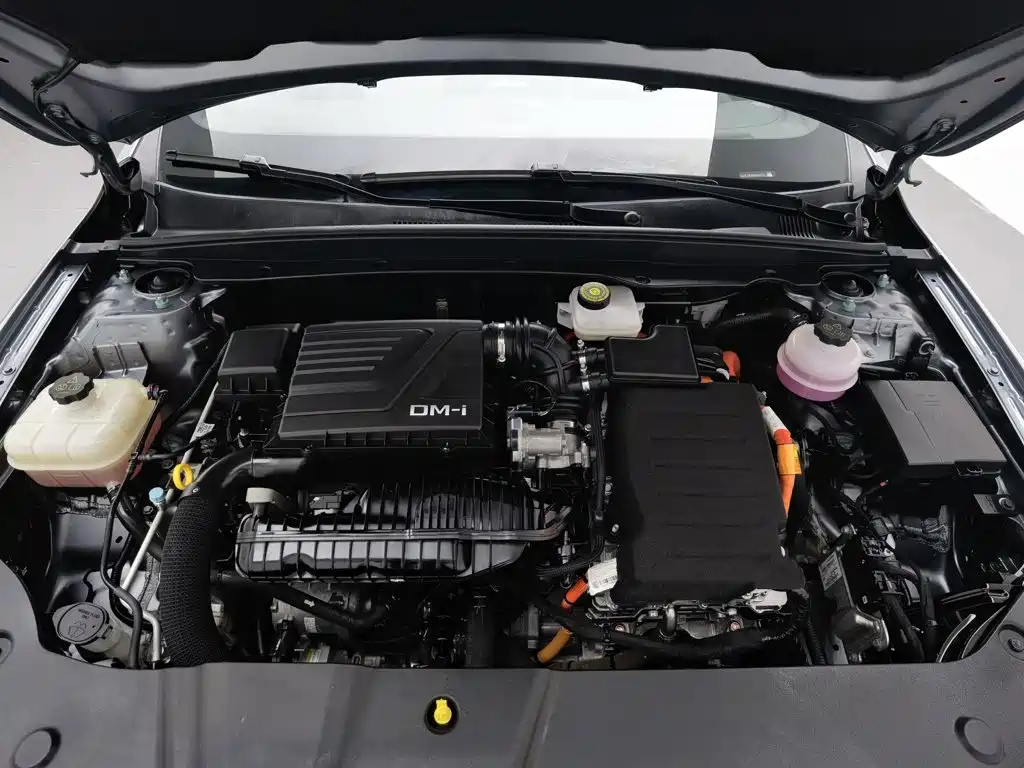 BYD Qin PLUS 2024