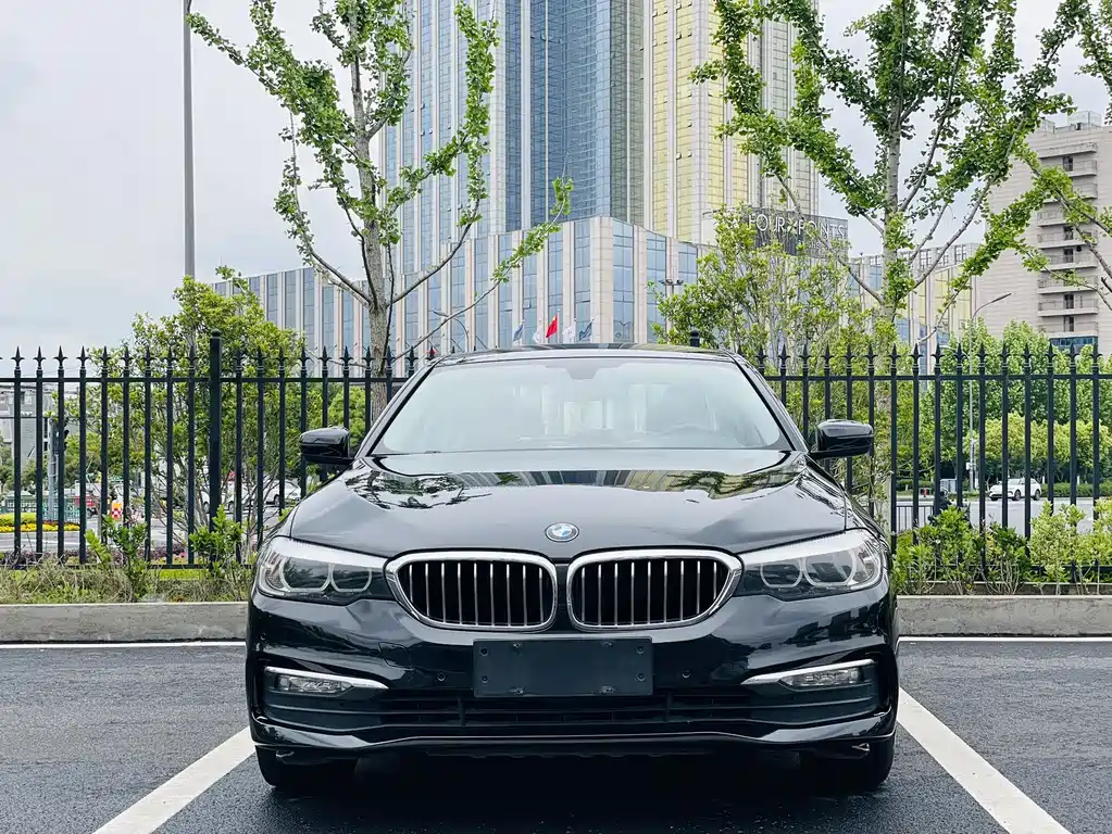 BMW 5 Series 2017 — фото 2