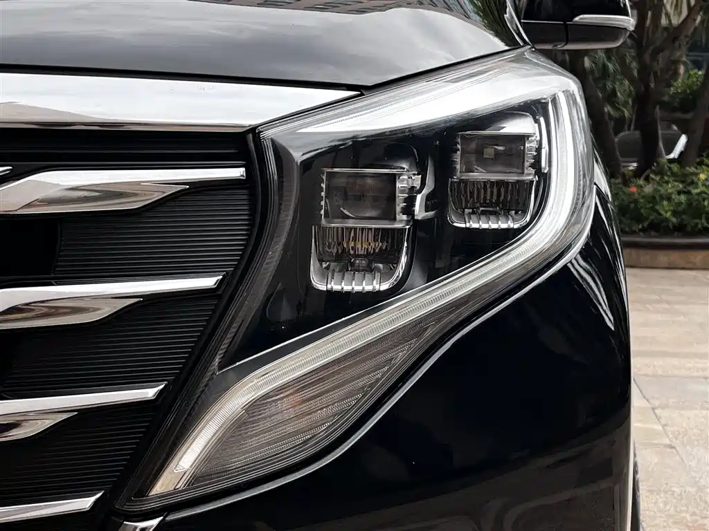 GAC Motor Trumpchi M8 2019 — фото 5