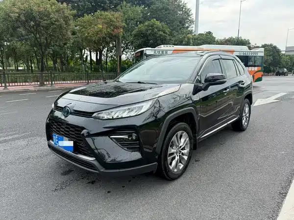 Toyota Wildlander 2021