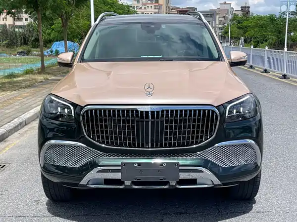Mercedes-Benz Maybach GLS 2022