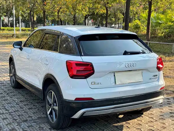 Audi Q2L E-Tron 2020