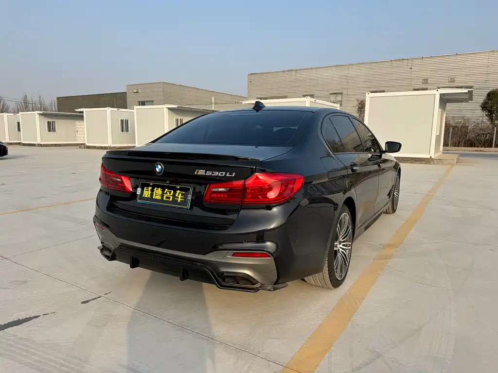 BMW 5 Series 2018 — фото 6