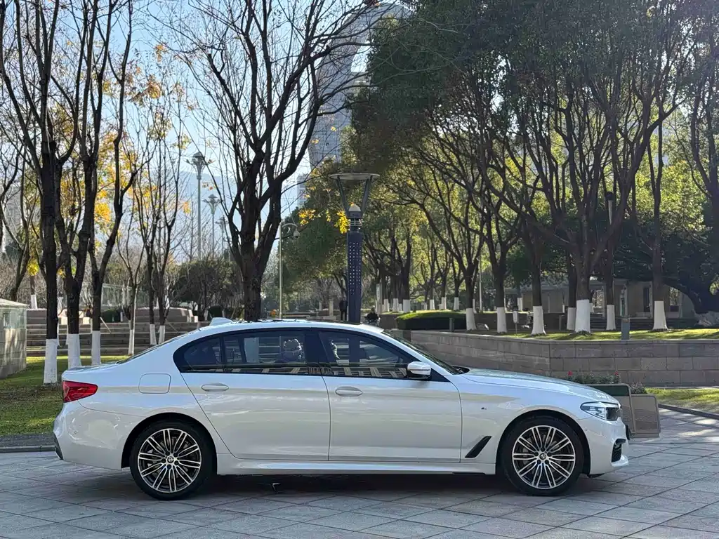 BMW 5 Series 2019 — фото 12