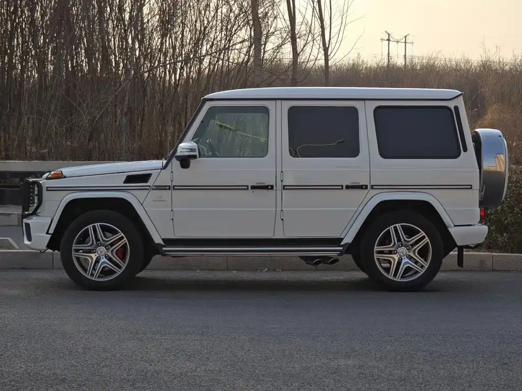 Mercedes-Benz G-Class AMG 2014 — фото 9