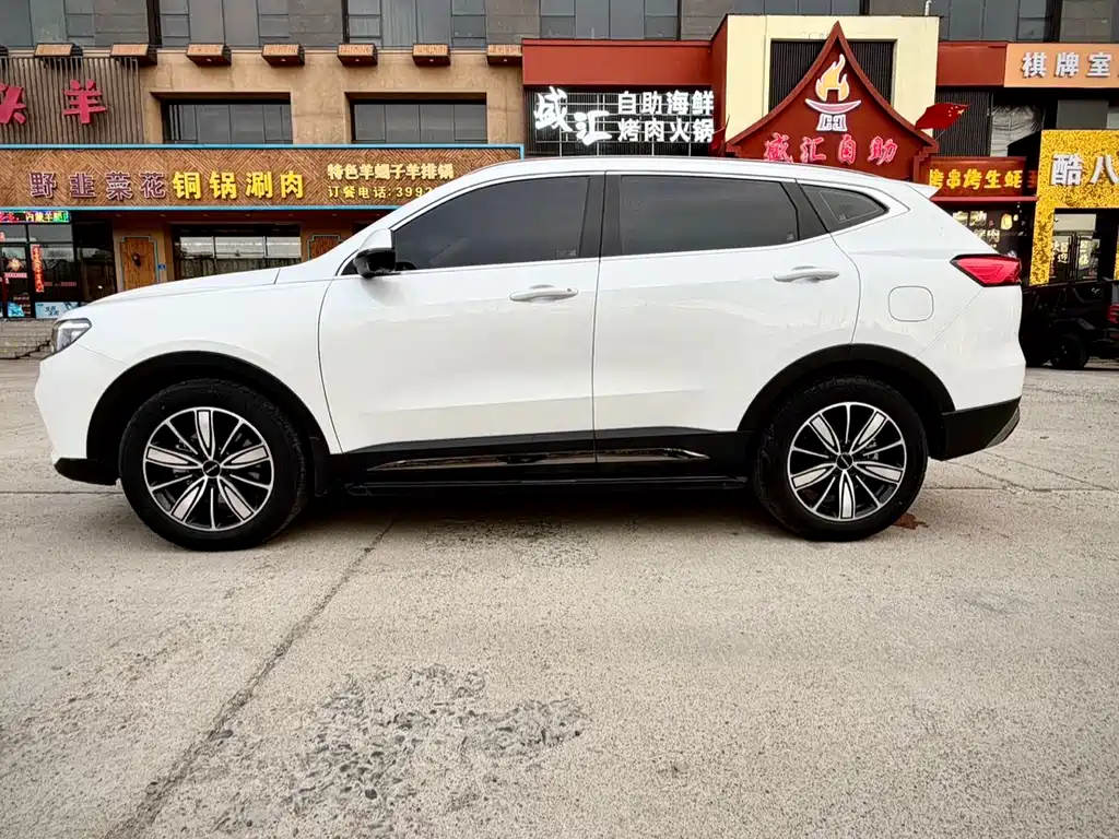 Haval H6 2023 — фото 8