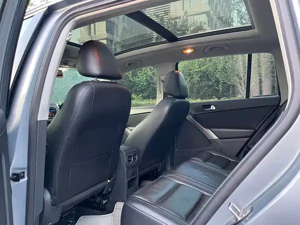 Volkswagen Tiguan 2010