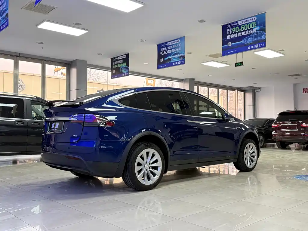 Tesla Model X 2018 — фото 6