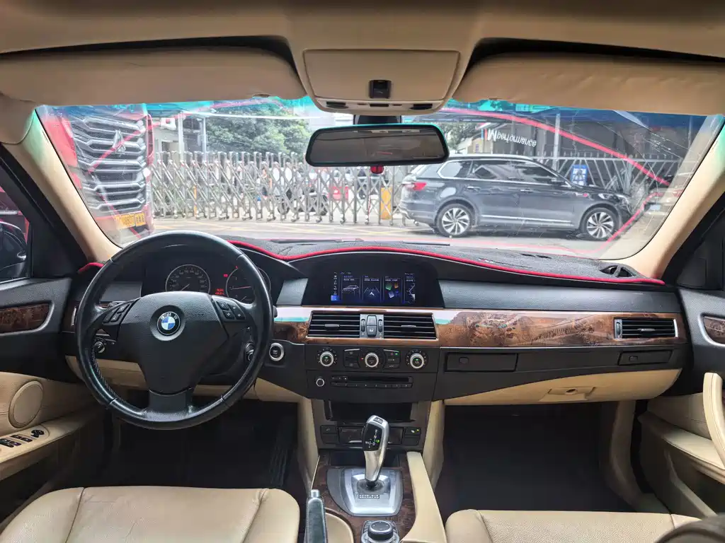 BMW 5 Series 2010