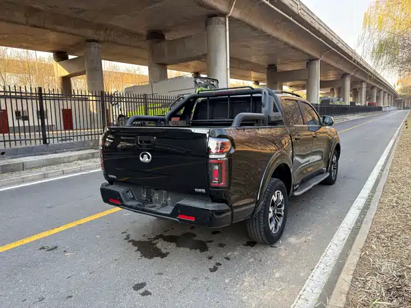 Great Wall Poer 2021