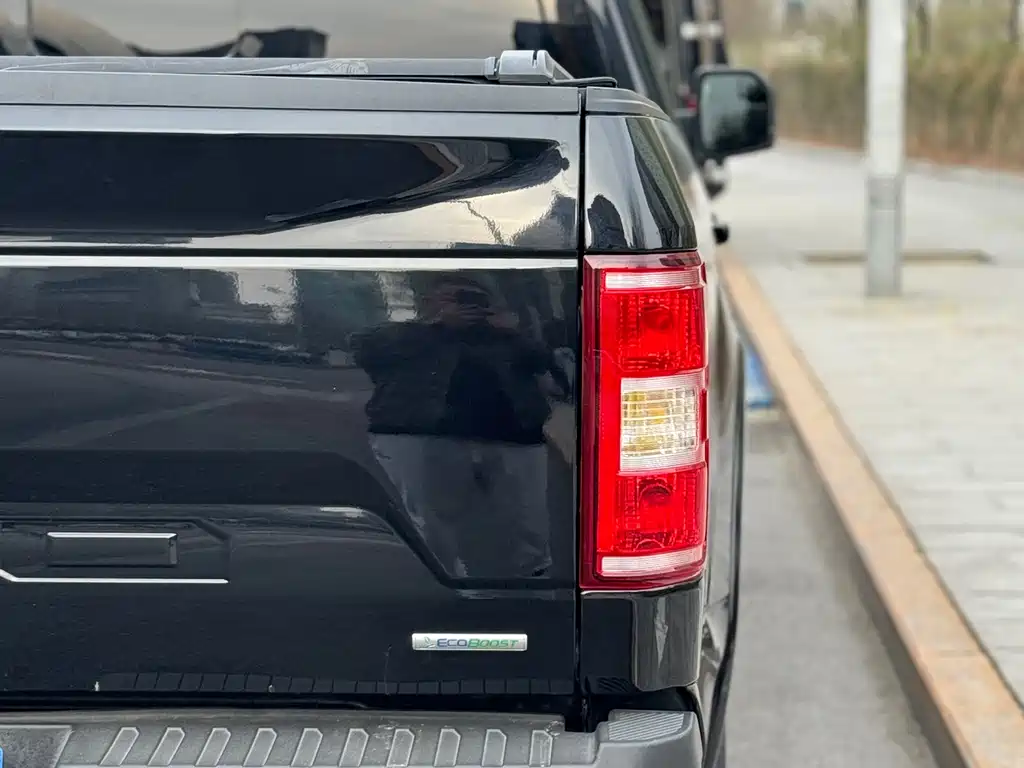 Ford F-150 Raptor 2020 — фото 26