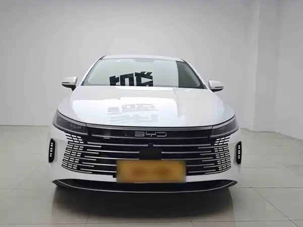 BYD Destroyer 05 2024