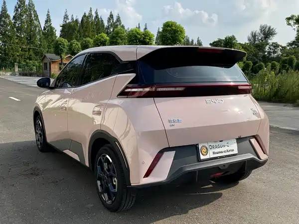 BYD Seagull 2024