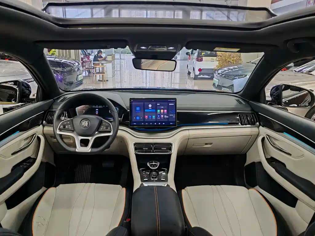 BYD Song PLUS New Energy 2023 — фото 8