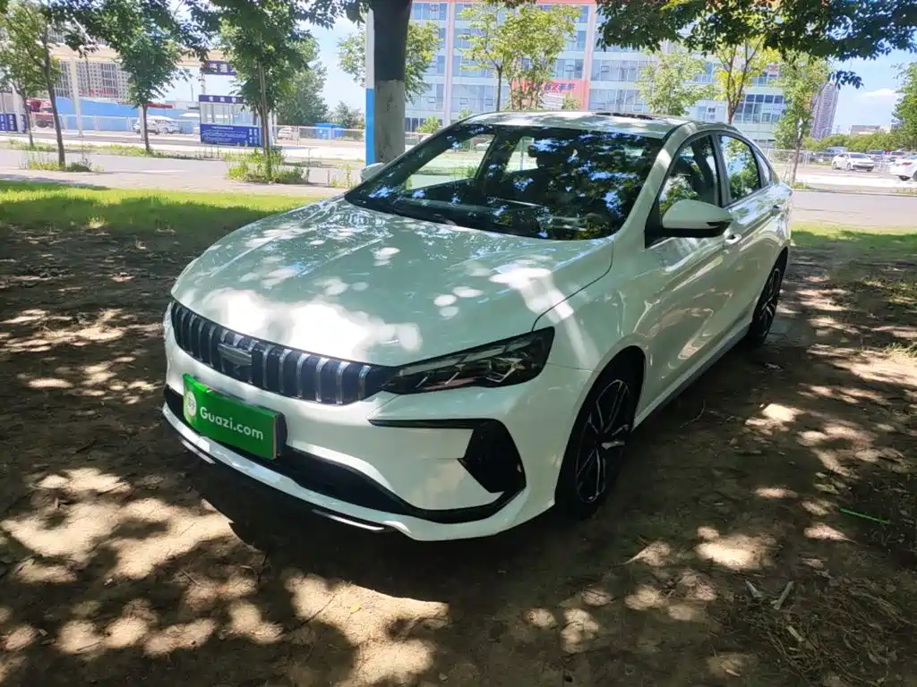 Geely Binrui 2024