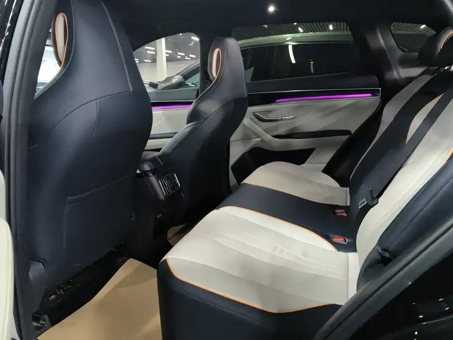 BYD Song PLUS New Energy 2023 — фото 11