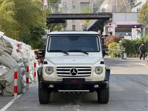 Mercedes-Benz G-Class 2010