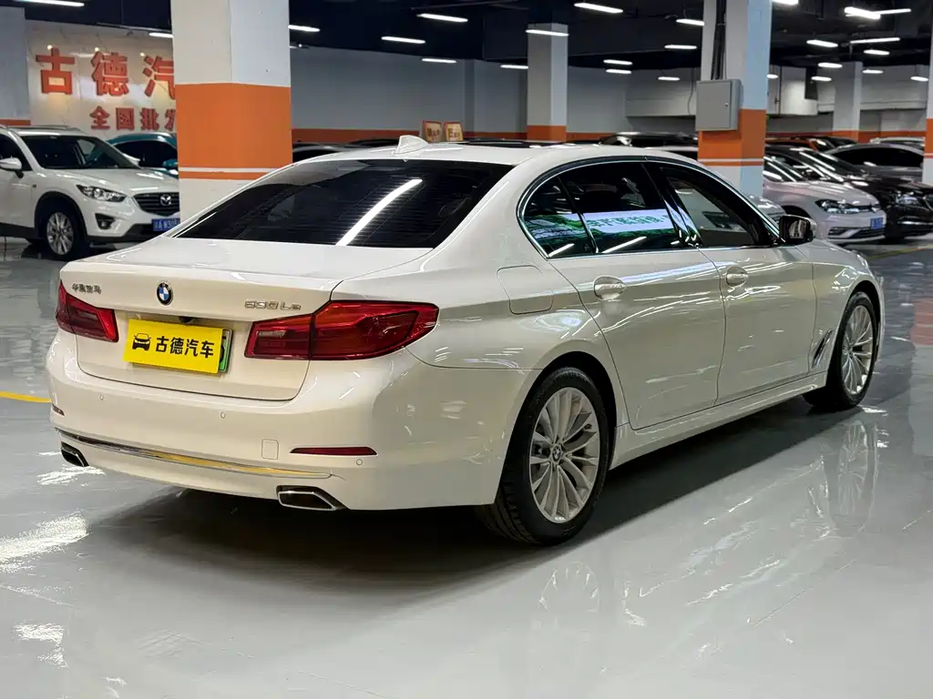 BMW 5 Series New Energy 2020