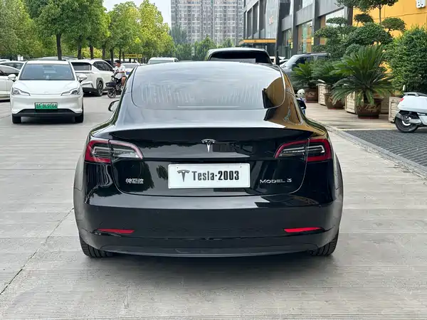Tesla Model 3 2020