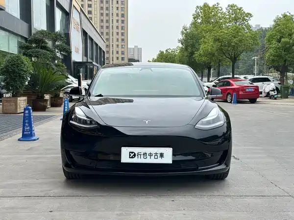 Tesla Model 3 2020