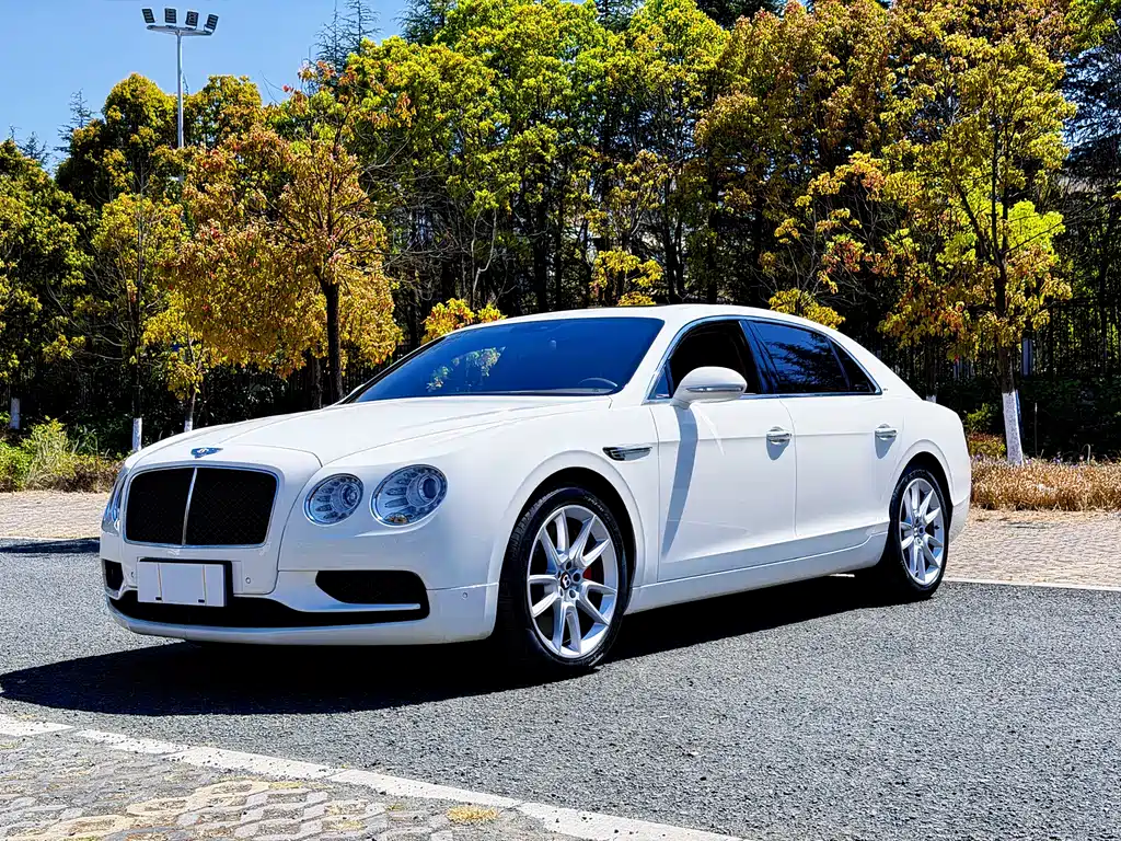 Bentley Flying Spur 2020 — фото 16