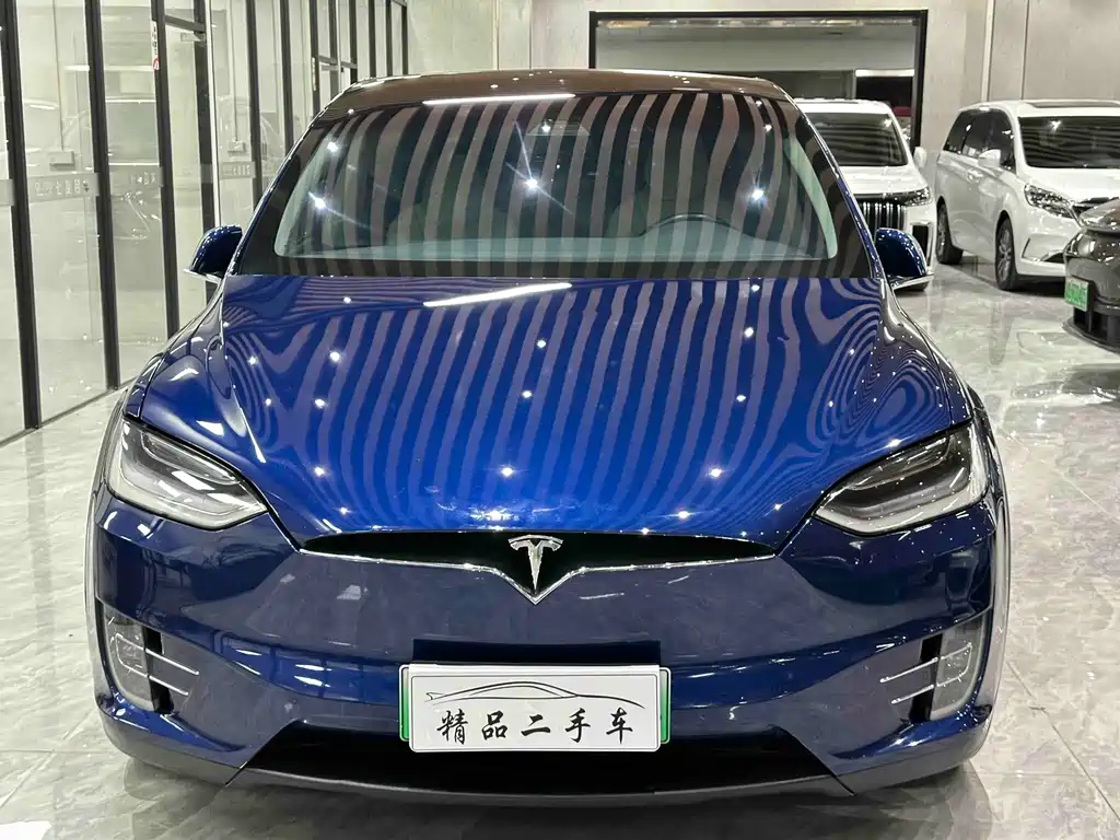 Tesla Model X 2019 — фото 2