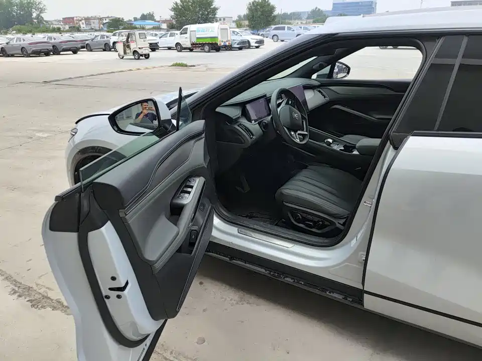BYD L EV 2025